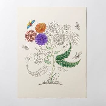 Download Secret Garden Artist S Edition A Pull Out And Frame Colouring Book Ohfriday